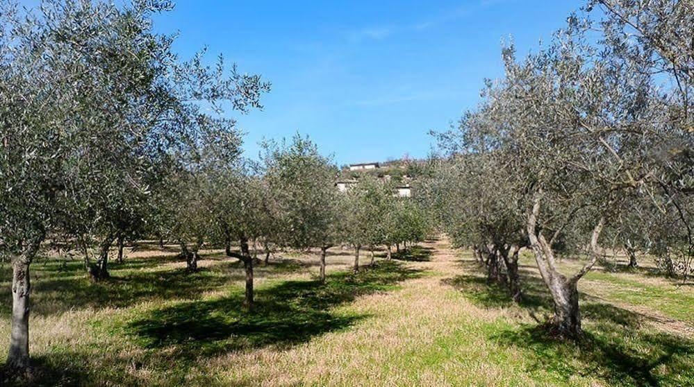 Casale San Pietro Bed and Breakfast Anagni Εξωτερικό φωτογραφία